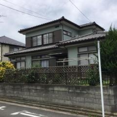 グリーンペペ