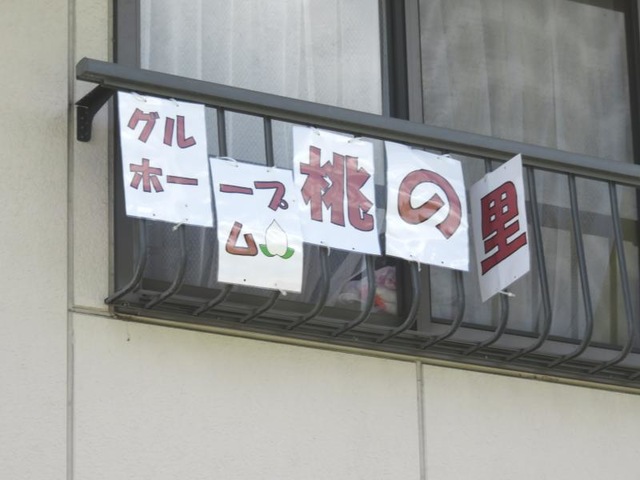 桃の里