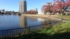 酒蓋公園