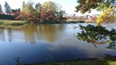 酒蓋公園