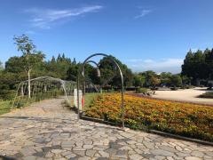 霞ヶ浦総合公園