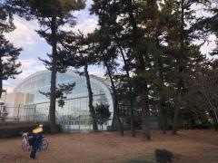 群馬県立敷島公園水泳場