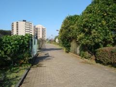 南山公園