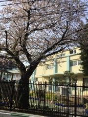 高南小学校