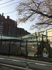 高南小学校