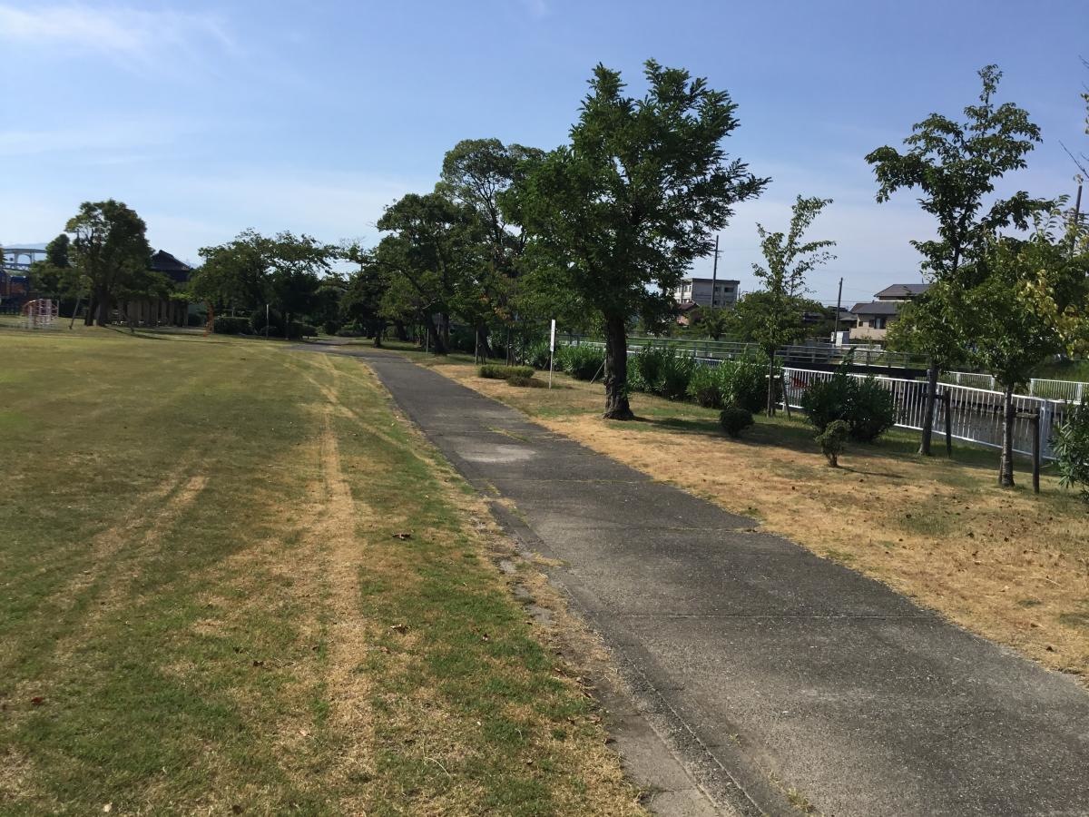 水郷公園