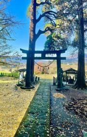 高森阿蘇神社