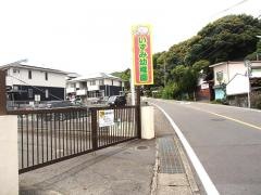 いずみ幼稚園