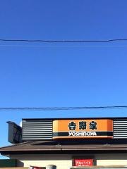 吉野家　19号線瑞浪店