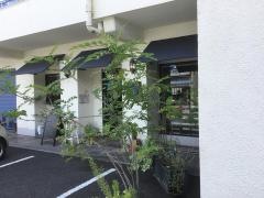 茶王