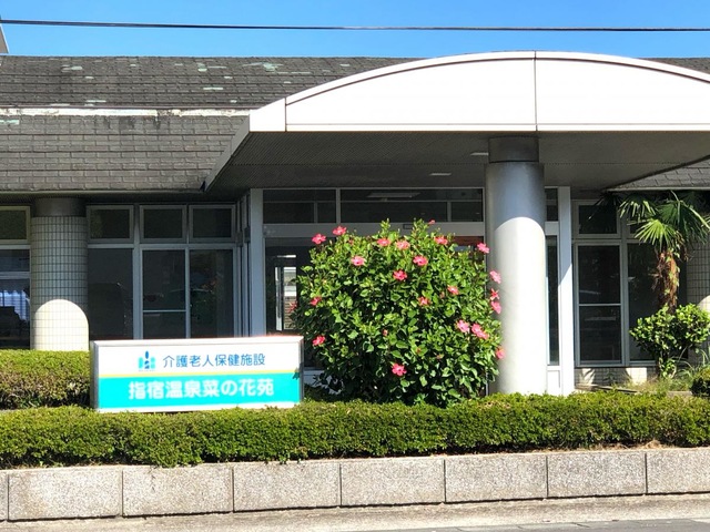 指宿温泉菜の花苑
