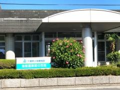 指宿温泉菜の花苑