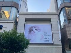 ペッツファースト　ｆｏｒ　ｃａｔｓ横浜元町店