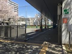 台場小学校