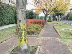 宮前あおぞら緑地
