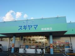 ドラッグスギヤマ新城東店