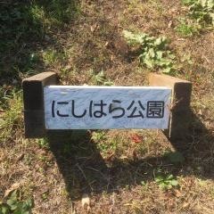 西原公園