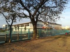 庄小学校