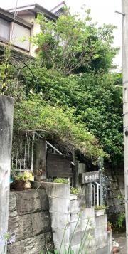 柿の木治療院