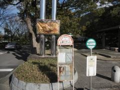 「山根市民グランド」バス停留所