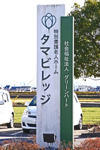 タマビレッジ