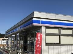 ローソン・スリーエフ　成田ニュータウン北店