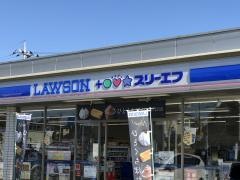 ローソン・スリーエフ　成田ニュータウン北店