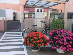 津さくらばしクリニック