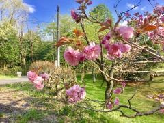 大宮自然公園