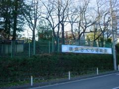 横浜さくら幼稚園