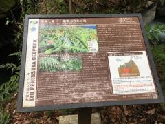 エビ滝