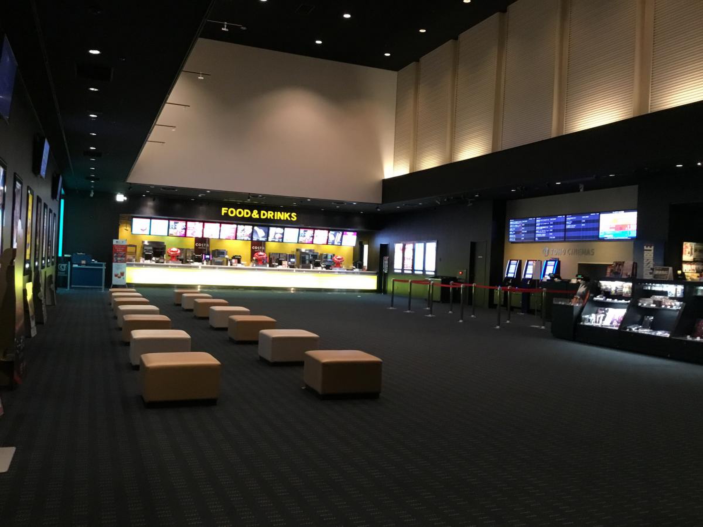 活動歴および当時の関連ビジュアル記録