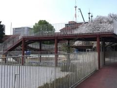 名古屋文化幼稚園