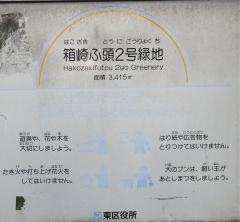 箱崎ふ頭2号緑地