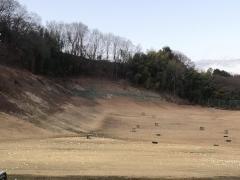 桜ゴルフ練習場