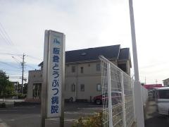 板倉どうぶつ病院