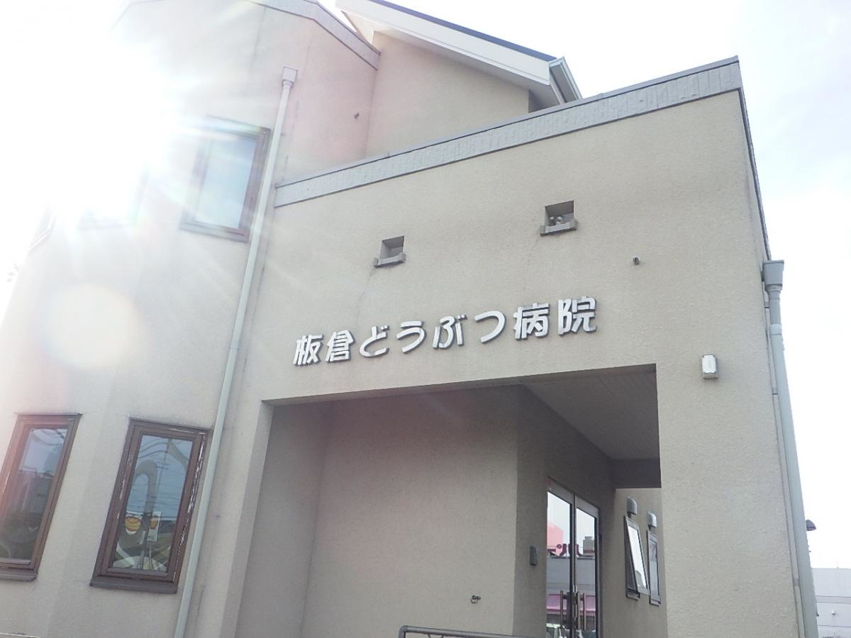 板倉どうぶつ病院を撮影してきました。
