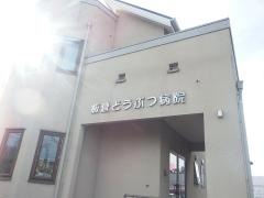 板倉どうぶつ病院