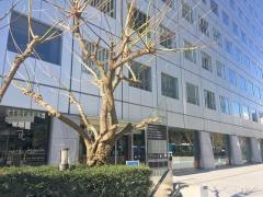 ドコモ・システムズ株式会社