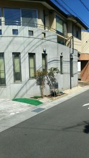 つばき整骨院