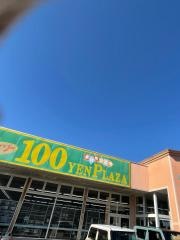ザ・ダイソー　とりせんドラッグウェル高根沢店