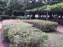 御滝公園
