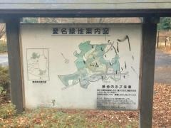 愛名緑地