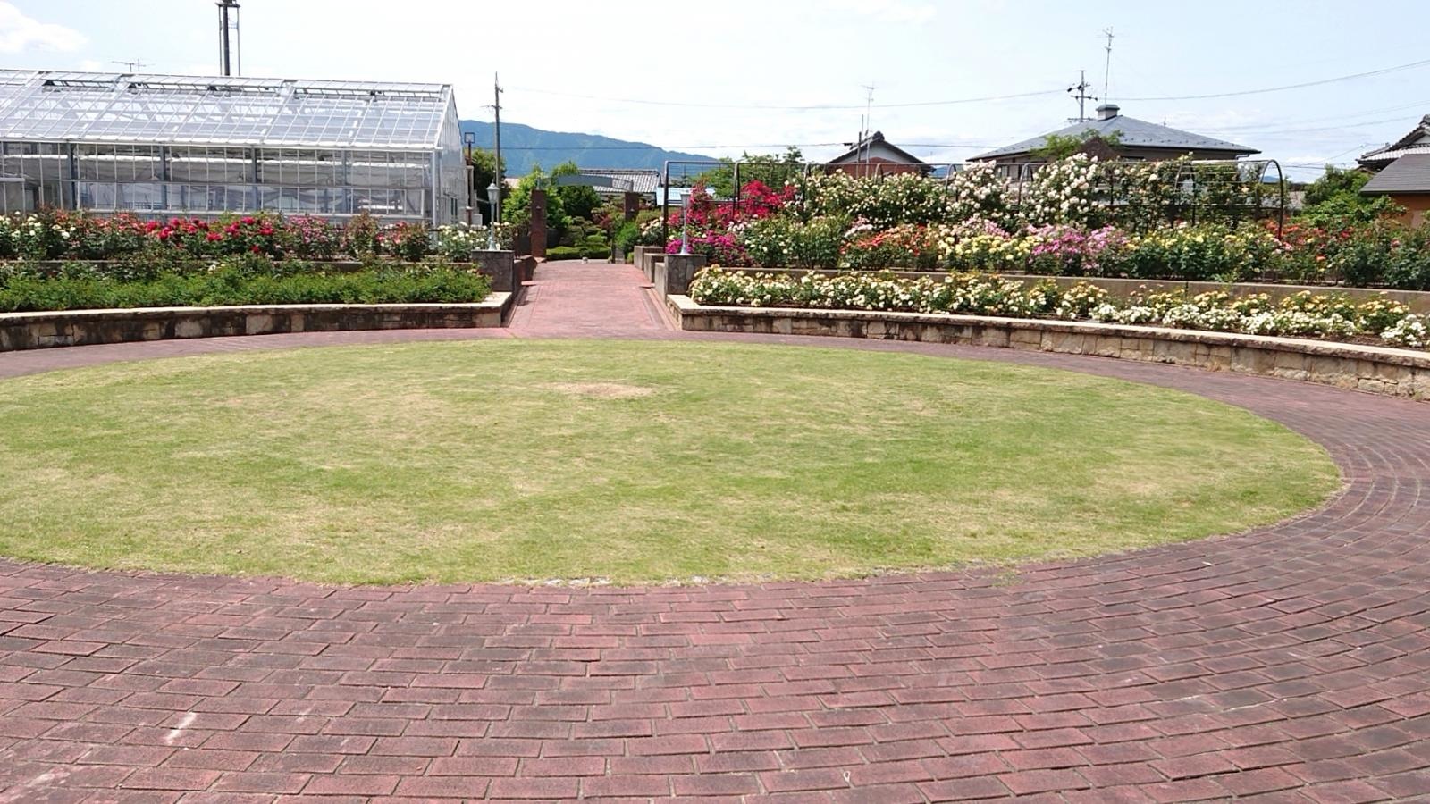 全景