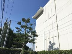 口田小学校