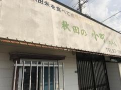 秋田の小町ちゃん