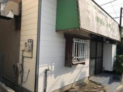 秋田の小町ちゃん