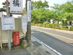 「橘中学校入口」バス停留所