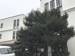 地域密着型特別養護老人ホーム　まきの木