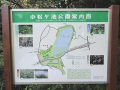 小松ケ池公園